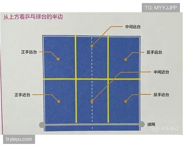 开球规则新手教学：发球位置与时机要点解析